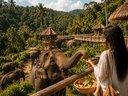 Samui Elephant Kingdom Sanctuary - Этичный слоновий заповедник