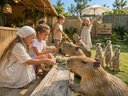 Capybara World - Контактный зоопарк