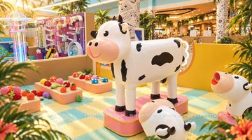 Lollipop Playland