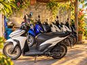 Sayree Car & Bike for rent