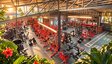 Success Gym