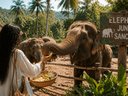 Elephant Jungle Sanctuary - слоновий заповедник