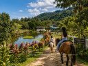 Hidden Lake Hill Horse Riding
