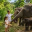 I Love Elephant Samui