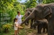 I Love Elephant Samui