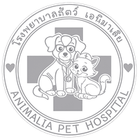 Animalia Pet Hospital