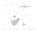 Fluffy Home Pet Clinic