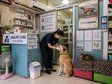 Lamai Pet Clinic - Ветеринарная клиника на Самуи