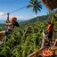 Samui Zipline & Adventure